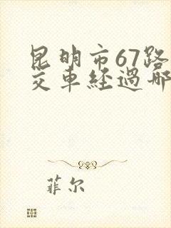 昆明市67路公交车经过哪些站点
