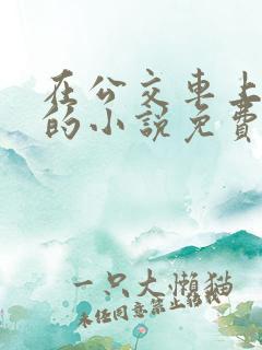 在公交车上高潮的小说免费阅读