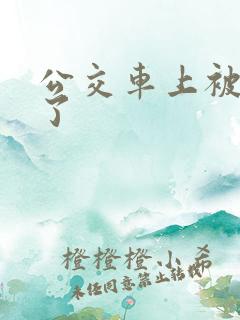 公交车上被进入了