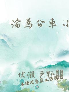 沦为公车 小说