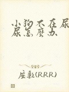 小狗不在尿垫上尿怎么办