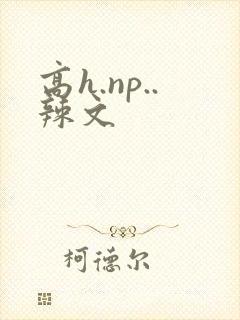 高h.np..辣文