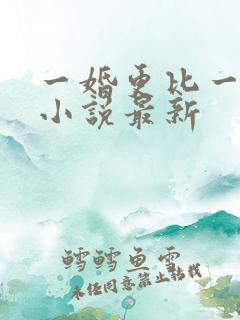 一婚更比一婚高小说最新