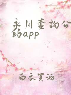 永川查询公交车的app