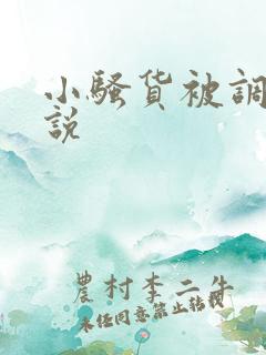 小骚货被调教小说