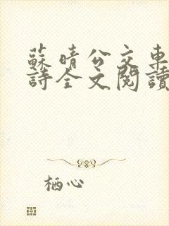 苏晴公交车上的诗全文阅读