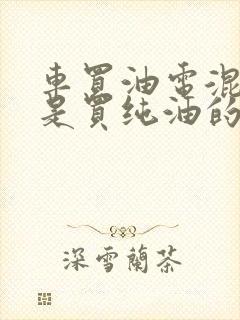 车买油电混动还是买纯油的好