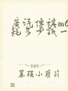 广汽传祺m6油耗多少钱一公里