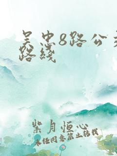 吴忠8路公交车路线
