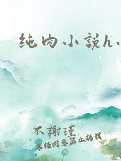 纯肉小说h小说