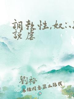 调教性,奴:小说虐