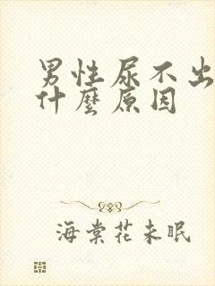 男性尿不出尿是什么原因