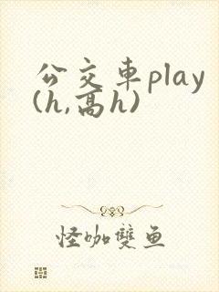 公交车play(h,高h)