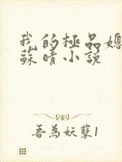 我的极品媳妇儿苏晴小说