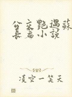 公交艳遇苏情的长篇小说