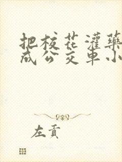 把校花灌药调教成公交车小说