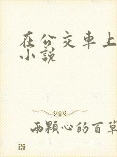 在公交车上被摸小说