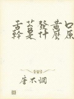 舌苔发黄口苦口干是什么原因
