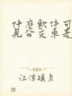 什么软件可以看见公交车走到哪里了