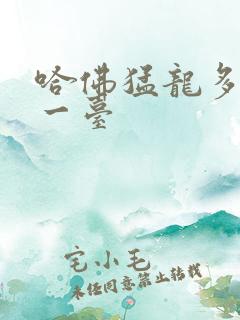 哈佛猛龙多少钱一台