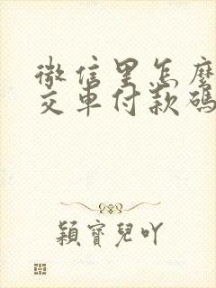 微信里怎么找公交车付款码