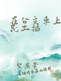 在公交车上被农民工插