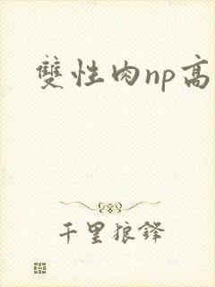 双性肉np高h