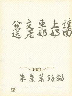 公交车上让座并送老奶奶回家