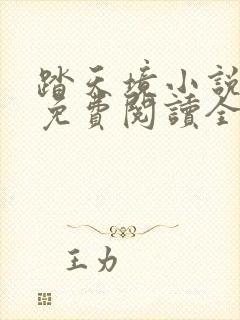 踏天境小说正版免费阅读全文
