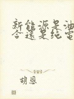 新能源是油电混合还是纯电