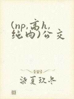 (np,高h,纯肉)公交