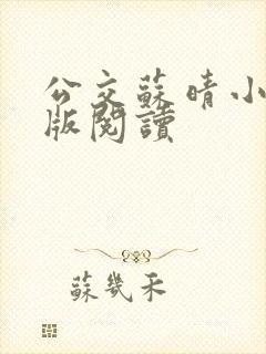 公交苏晴小说正版阅读