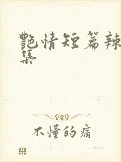 艳情短篇辣文合集