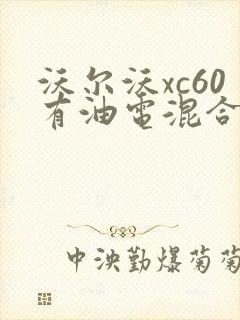 沃尔沃xc60有油电混合动力