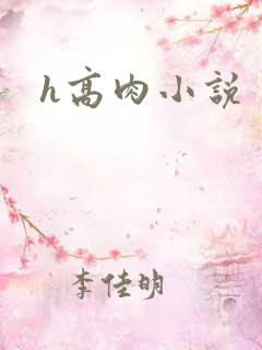 h高肉小说