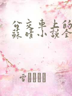 公交车上的妈妈苏晴小说全文阅读下