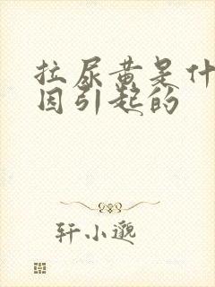 拉尿黄是什么原因引起的