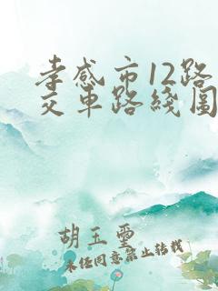 孝感市12路公交车路线图