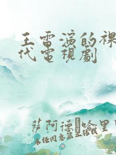 王雷演的裸婚时代电视剧