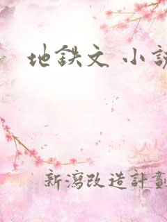 地铁文 小说
