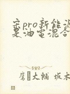 宋pro新能源是油电混合么