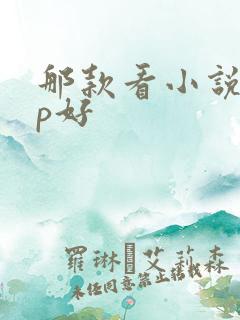 那款看小说app好