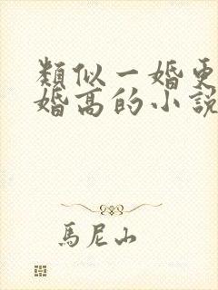 类似一婚更比一婚高的小说