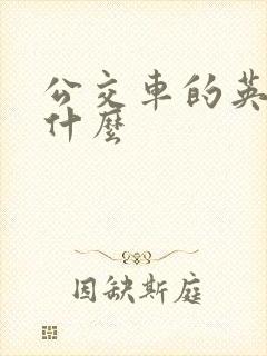 公交车的英语是什么