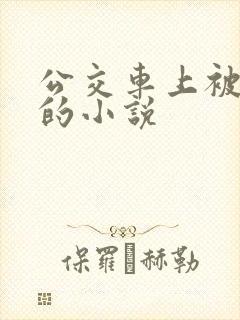 公交车上被玩弄的小说