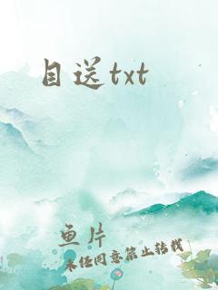 目送txt