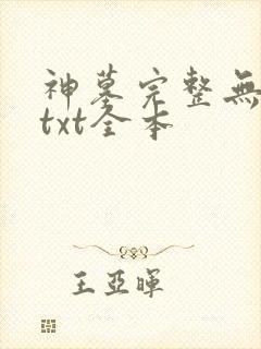 神墓完整无删减txt全本