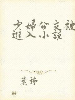 少妇公交被粗长进入小说