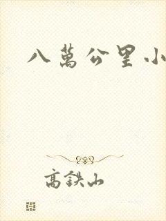 八万公里小说