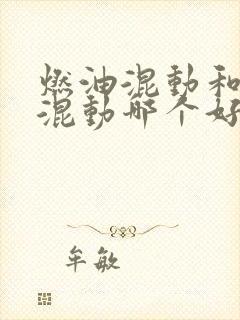 燃油混动和插电混动哪个好